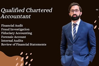 do internal, external, and interim audits of financials