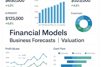 build a dynamic financial model with detailed analysis