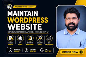 wordpress maintenance, website manager, wordpress website maintenance