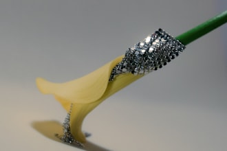 offer fashion, portrait, and stilllife photography