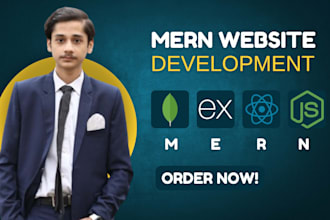 build a responsive and modern mern website