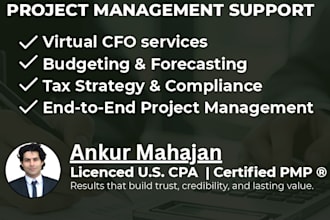 provide CPA, US and canada efile tax, bookkeeping, cfo, audit and pmp services