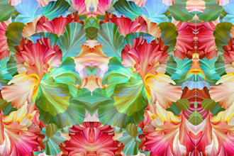 draw your custom seamless textile fabric repeat pattern design collection