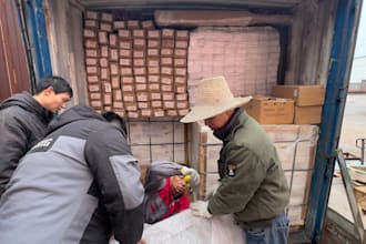 virtual assitant sourcing from china