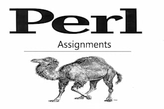 do any perl script
