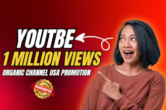 skyrocket USA youtube channel video promotion to over 1 million people for views