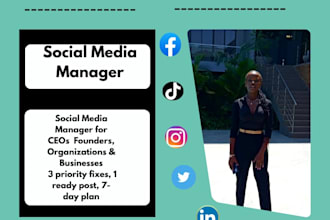 manage your social media as a VA for ceos, founders and organisations