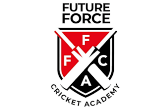 create a high quality cricket logo design