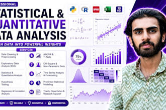 provide statistical and quantitative data analysis and modeling