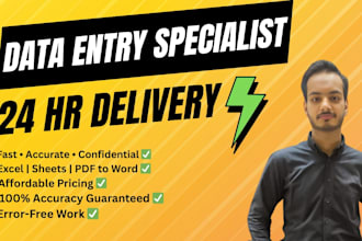accurate data entry, excel expert and web research services