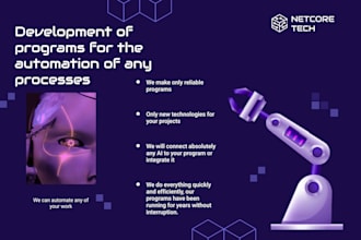 development of programs for the automation of any processes