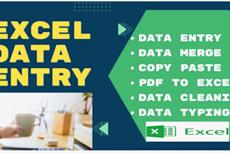 do data entry, audio transcription, and video transcription