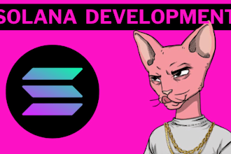 develop solana applications for you, blockchain developer