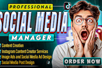 be your facebook instagram social media marketing manager and content creator