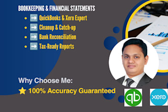 do quickbooks and xero bookkeeping, cleanup, catch up and financial reporting