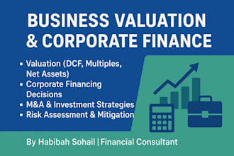 provide business valuation and financial analysis