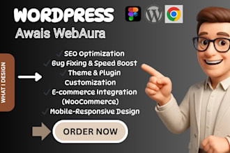 design a modern professional wordpress website
