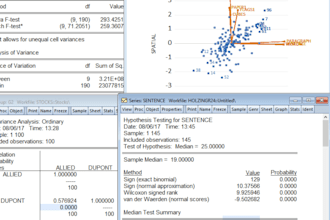 do any statistical task using spss, eviews and excel