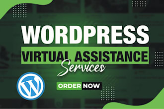 be your professional wordpress virtual assistant