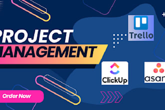 setup your custom asana, clickup, and trello workflow