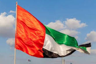 do 250 uae local citations to boost your google map ranking
