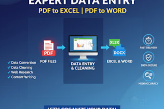 do fast PDF to excel PDF to word data entry and data cleaning