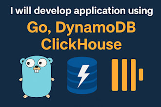 develop application using golang, go, dynamodb, clickhouse