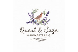 design whimsical barn logo
