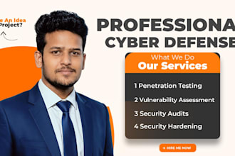 do penetration or vulnerability testing and security audit