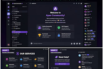 create a professional discord server with roles and bots