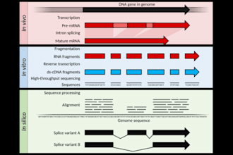 do dna and rna sequencing analysis