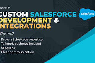 be your expert salesforce developer and administrator