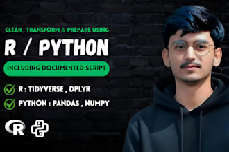 do r and python data cleaning and formatting