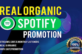 massive spotify music promotion via spotify ads, spotify album promotion