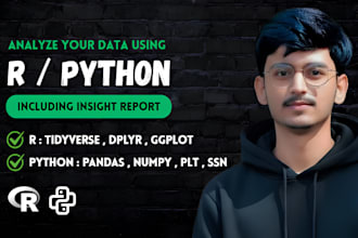 do r and python data analysis with insights report