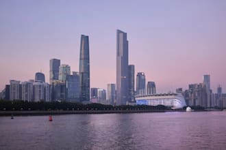 be your china entry sso and strategic business consultant