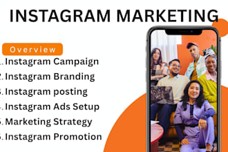 instagram promotion, manage, instagram promotion, manage