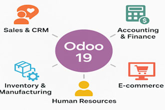 setup, implement, and train you on odoo 19 or older