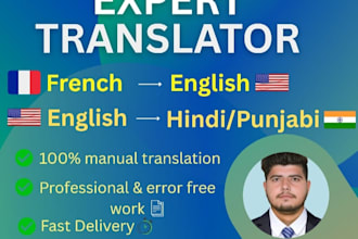 provide professional punjabi, hindi, english and french translation