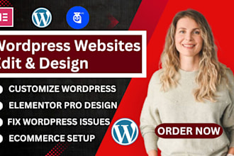 wordpress website design godaddy hostinger bluehost siteground ionos wix website