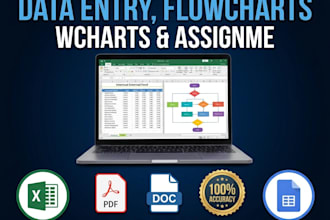 do all type of data entry and flow chart making, assignment making ,other typing