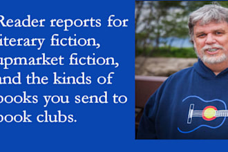 provide a detailed beta reader report for your literary fiction