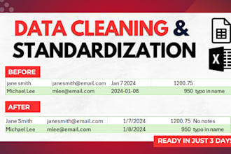 do data cleaning, standardization, and entry in excel or google sheets