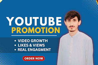 do organic youtube video promotion