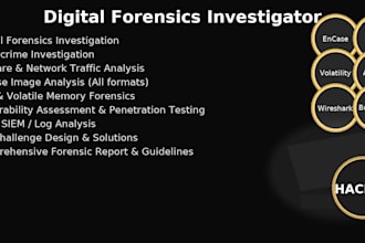 digital forensics, cybercrime investigations, log analysis, soc build