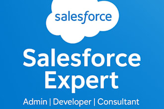 be your salesforce developer, consultant, and administrator
