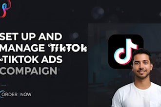 setup tiktok ads, tiktok ad campaign, tiktok advertising, tiktok leads
