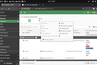 configure cisco, mikrotik, or huawei networks and secure your servers