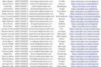 create a professional excel data entry sheet