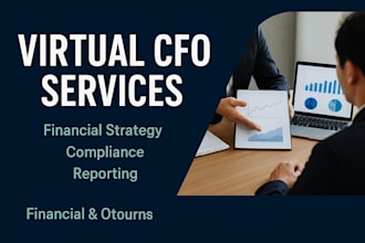provide virtual cfo services, financial planning, mis and cash flow manag